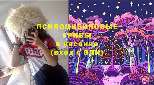 не бодяженный Иннополис